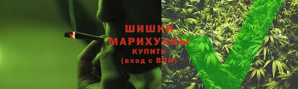 дживик Пестово