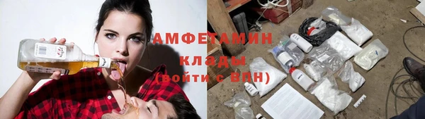 дживик Пестово