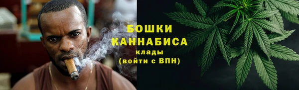 дживик Пестово