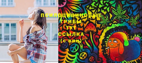 марки nbome Пересвет