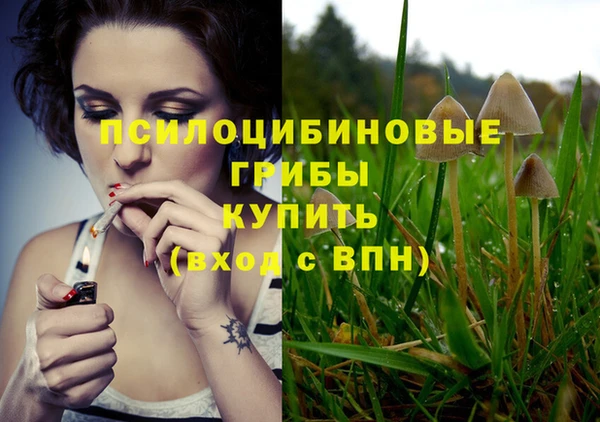 марки nbome Пересвет