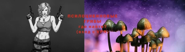 марки nbome Пересвет
