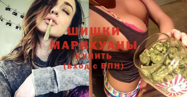 дживик Пестово