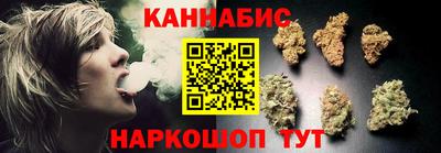 мдпв Кингисепп