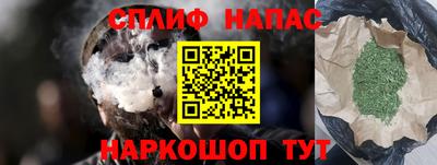 мдпв Кингисепп
