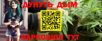 мдпв Кингисепп