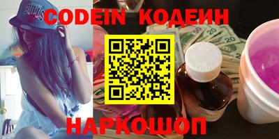 мдпв Кингисепп