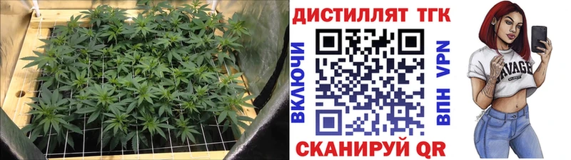 купить наркоту  Петровск  Дистиллят ТГК концентрат 