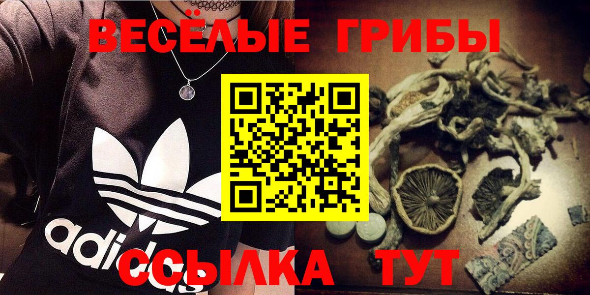 Галлюциногенные грибы мицелий  Вход с VPN  Петровск 