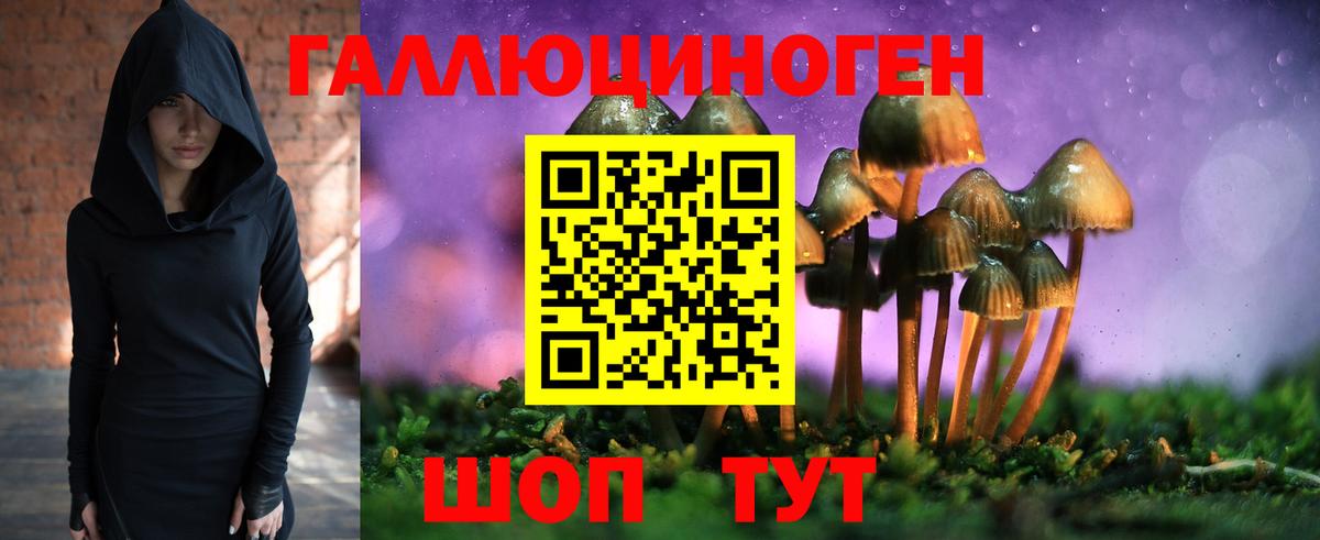 Галлюциногенные грибы GOLDEN TEACHER Петровск